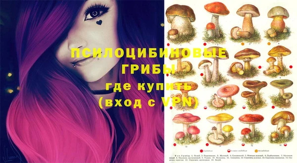 прущие грибы Алзамай