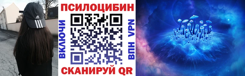 Галлюциногенные грибы Psilocybe  где найти   Астрахань 